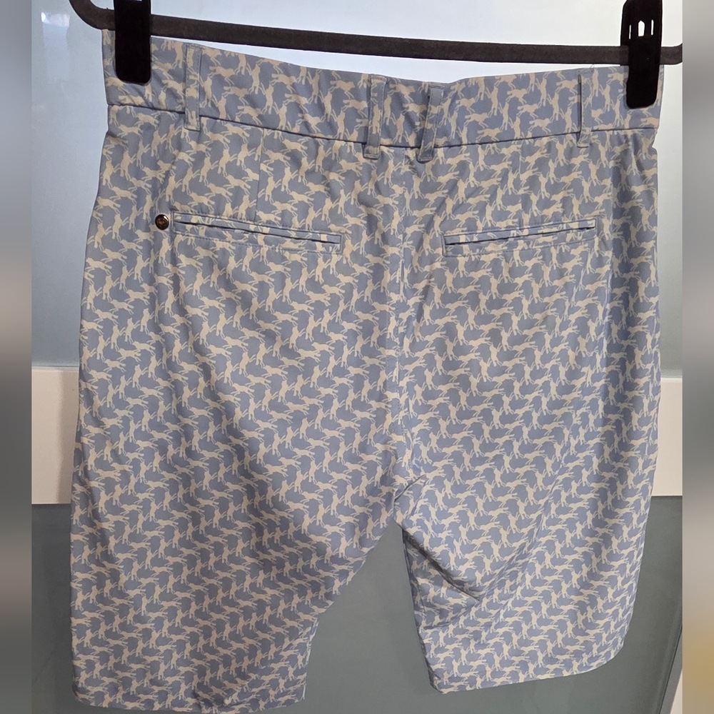 Greyson Light Blue Patterned Flat-Front Shorts - image 4